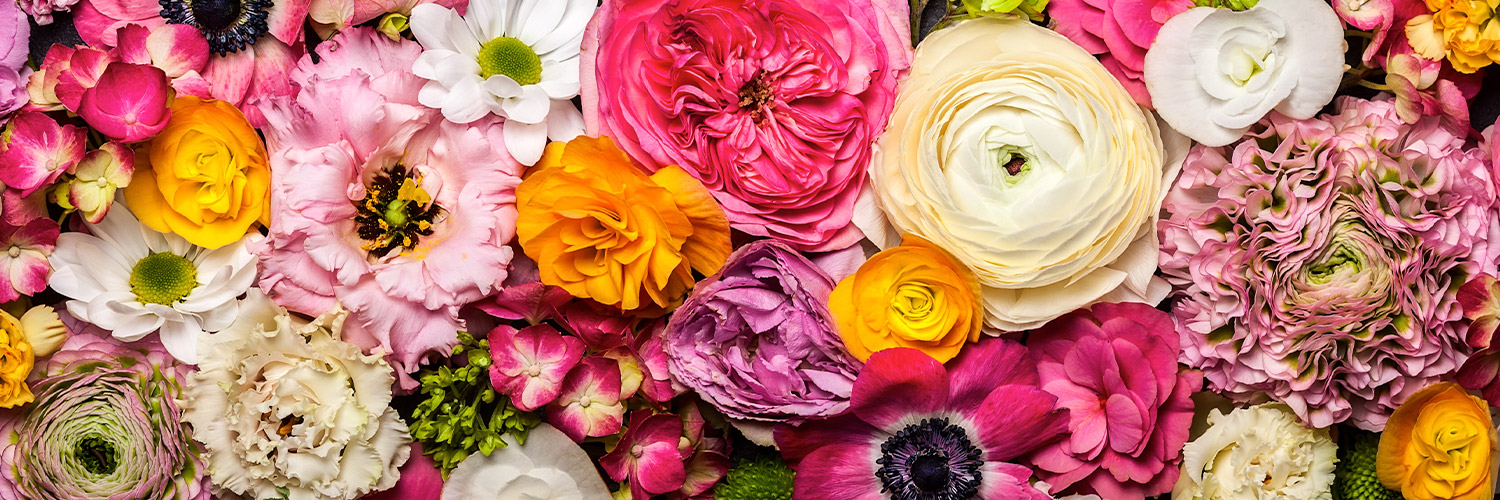 Various colorful flowers are densely arranged, forming a vibrant floral display with hues of pink, yellow, white, and purple. The flowers overlap, filling the entire frame with rich textures and details.